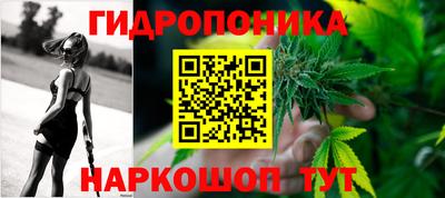 Альфа ПВП Ипатово