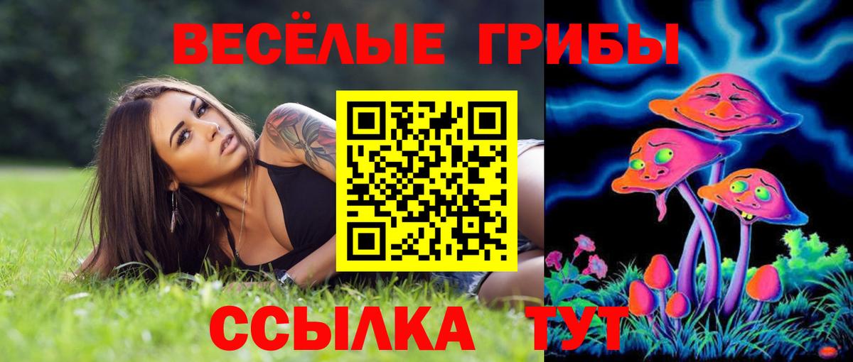Галлюциногенные грибы мухоморы  Вход с VPN  купить закладку  Когалым 